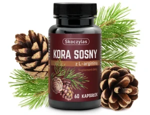 Skoczylas Kora sosny z l-argininą 60 kapsułek - Studio Zielarskie