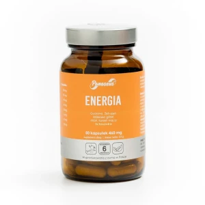 YANGO Panaseus Energia 50 kapsułek - Studio Zielarskie