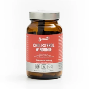 YANGO Panaseus Cholesterol w normie 50 kapsułek - Studio Zielarskie