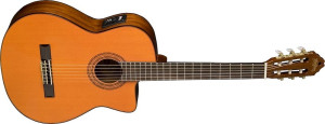 WASHBURN C 5 CE (N) seria C