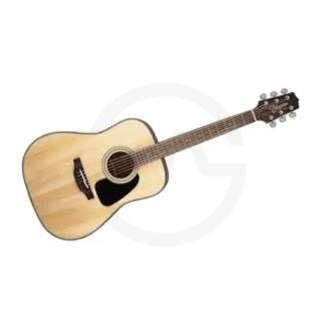TAKAMINE GD30-NAT