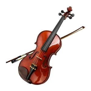 V-TONE VIO 4/4 - Acoustic Violin for Beginners