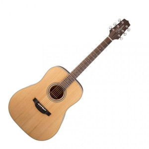 TAKAMINE GD20-NS
