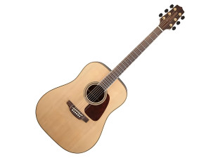 TAKAMINE GD93-NAT