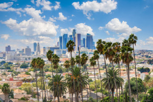 Fototapeta Los Angeles Beautiful cloudy day of Los Angeles downtown skyline and palm trees in foreground