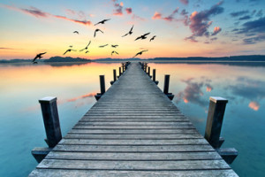 Fototapeta Jeziora Sommermorgen am See, Badesteg in morgendlicher Stille