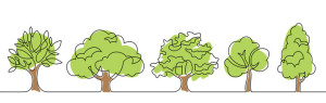 Fototapeta Las tree set one line color