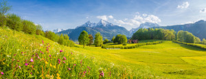 Fototapeta Hotel Idyllic mountain scenery in the Alps with blooming meadows in springtime
