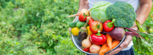Fototapeta Kuchnia Man farmer with homemade vegetables in his hands. Selective focus.