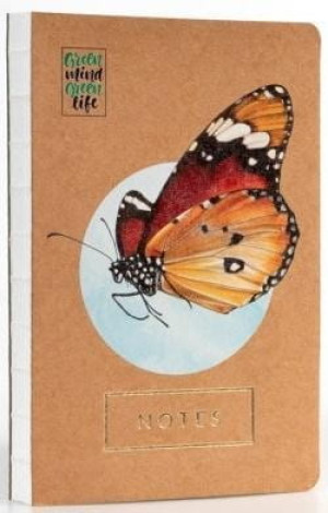Notes Motyl