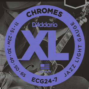 Szlifowane Struny do Gitary Elektrycznej D'Addario ECG (11-65) Chromes