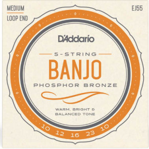 D'Addario Banjo (10-23) Phosphor Bronze 5 String