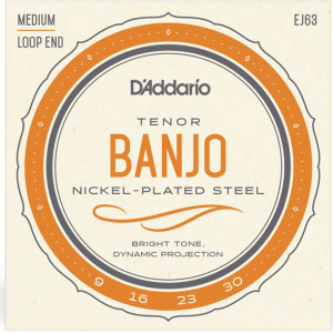 D'Addario Banjo (09-30) Tenor Nickel