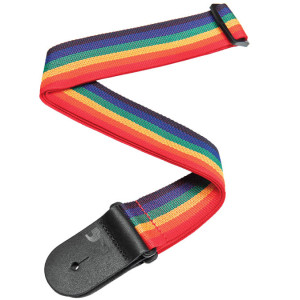 Tęczowy Pasek D'Addario Polypropylene Gitarowy
