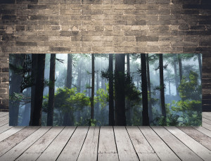 product photo