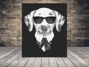 product photo