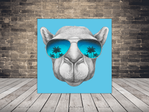 product photo