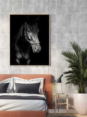 Plakat Czarny Koń 40x50