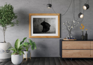 product photo