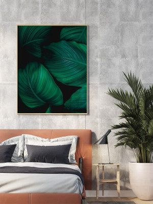 Plakat Tropikalne Liście 50x70