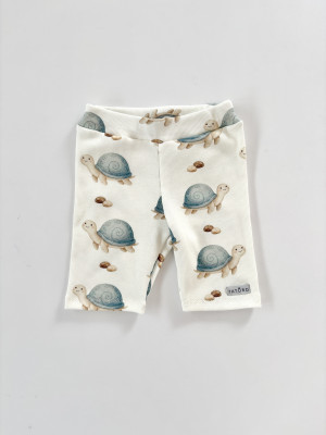 Kolarki prążkowane turtles