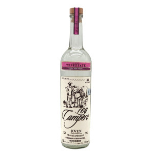 Rey Campero Tepextate Mezcal 49% (1 x 0.7 l)
