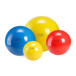 Gymnic Ball Classic