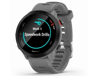 Garmin Forerunner 55 Monterra Grey / Smartwatch 42Mm