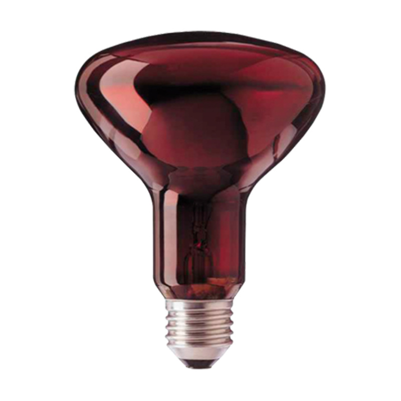 Bombilla para lámpara de infrarrojos 250W