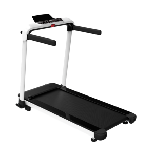 Cinta Motorizada TM 800: Entrenamiento doméstico intermedio