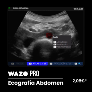 Software de Simulación Clínica en Ecografía Abdominal: Suscripción Anual WAZO® PRO