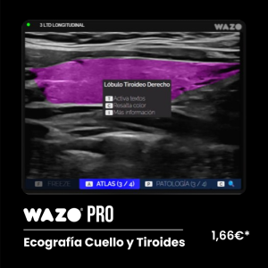 Software de Simulación Clínica en Ecografía Cervical: Suscripción Anual WAZO® PRO - Cuello - Tiroides