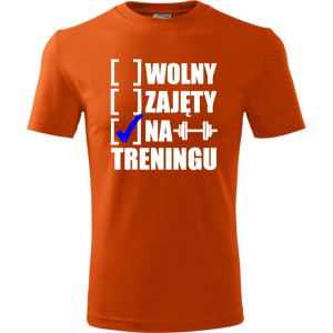 Męska koszulka Sportowa - Wolny zajęty na treningu