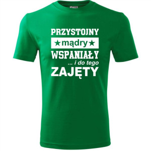 Męska koszulka - Przystojny, mądry, wspaniały - prezent dla chłopaka