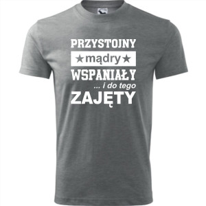 Męska koszulka - Przystojny, mądry, wspaniały - prezent dla chłopaka