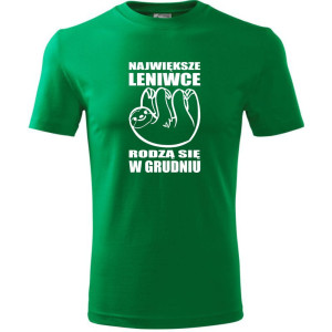 męska koszulka - największe leniwce rodzą się w grudniu