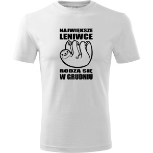 męska koszulka - największe leniwce rodzą się w grudniu