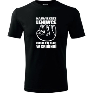 męska koszulka - największe leniwce rodzą się w grudniu