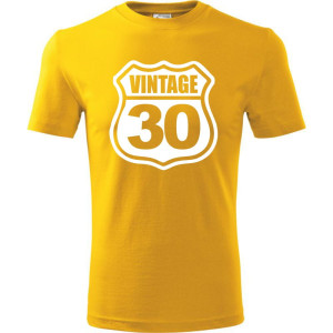 Męska koszulka - vintage 30