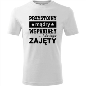 Męska koszulka - Przystojny, mądry, wspaniały - prezent dla chłopaka
