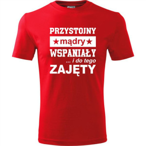 Męska koszulka - Przystojny, mądry, wspaniały - prezent dla chłopaka