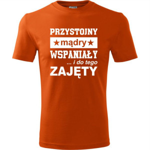 Męska koszulka - Przystojny, mądry, wspaniały - prezent dla chłopaka