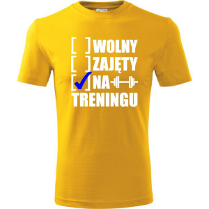 Męska koszulka Sportowa - Wolny zajęty na treningu