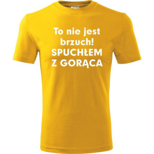 Męska koszulka - To nie jest brzuch, spuchłem z gorąca