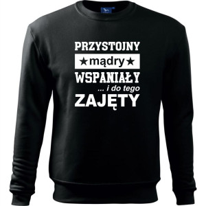 Męska bluza klasyczna - Przystojny, mądry, wspaniały