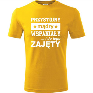 Męska koszulka - Przystojny, mądry, wspaniały - prezent dla chłopaka