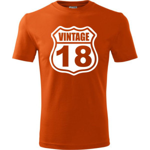 Męska koszulka - vintage 18