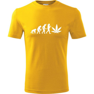 Męska koszulka - Ewolucja ganja