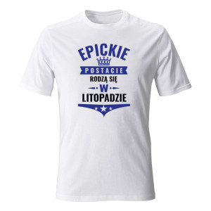 Koszulka męska EPICKIE POSTACIE