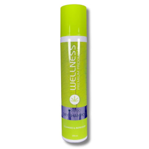 Wellness Premium Dry Shampoo I suchy szampon do włosów 200ml